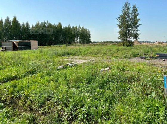 Продажа участка - Всеволожский район, Массив Скотное территория