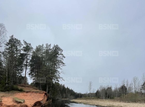 Продажа дома - деревня Даймище, Большой проспект, д.59