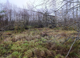 Продажа земельного участка - Ленинградская область, Гатчинский район, Вайя д., Железнодорожная ул. 