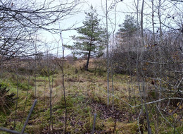 Продажа земельного участка - Ленинградская область, Гатчинский район, Вайя д., Железнодорожная ул. 