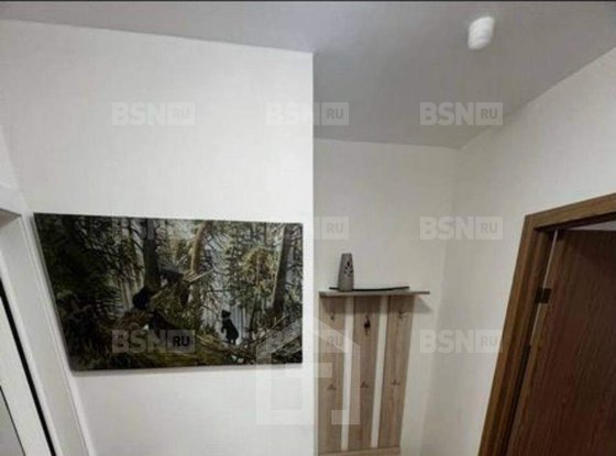 Продажа однокомнатной квартиры - поселок Петро-Славянка, Славянская улица, д.21 