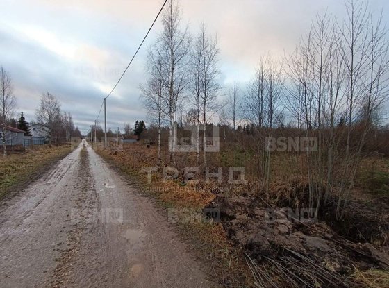 Продажа участка - Ленинградская область, Бригантина-2(Кобрино) территория снт