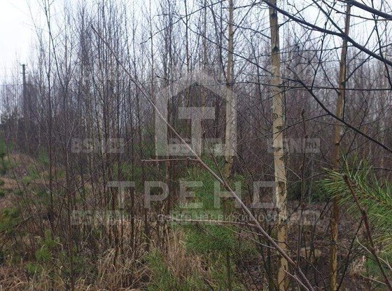 Продажа участка - Сосновый Бор