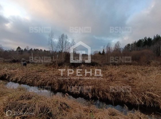 Продажа участка - Ленинградская область, Бригантина-2(Кобрино) территория снт