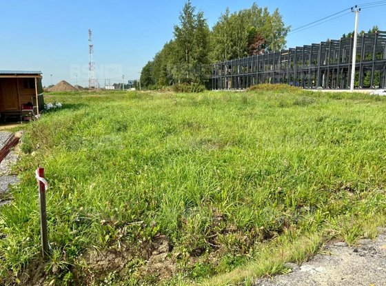 Продажа участка - Всеволожский район, Массив Скотное территория