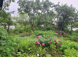 Продажа дачи - Ленинградская область, Гатчинский район, Ягодка тер. СНТ