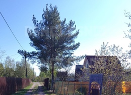 Продажа участка - Всеволожский р-н, массив Сады, снт. Дружба-2, аллея 4-я,
