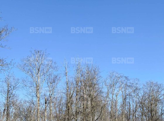 Продажа участка - Ивангород, Госпитальная улица