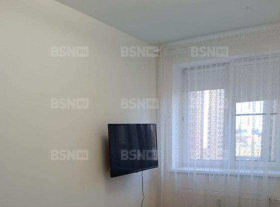 Аренда однокомнатной квартиры - поселок Парголово, Шишкина улица, д.309, корп.1стр1 