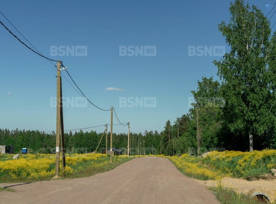 Продажа участка - поселок Сосново, Ленинградская улица