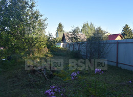 Продажа земельного участка - Ленинградская область, Всеволожский район, Дружба снт 