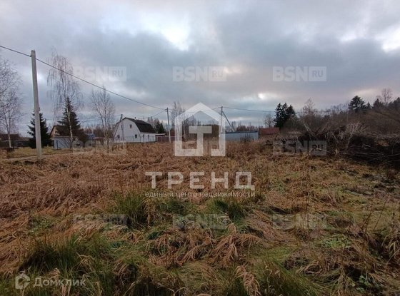 Продажа участка - Ленинградская область, Бригантина-2(Кобрино) территория снт