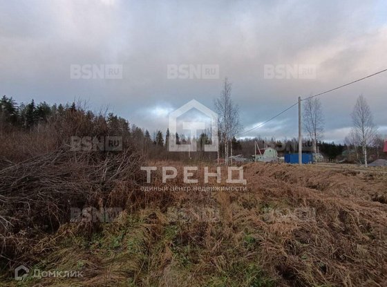 Продажа участка - Ленинградская область, Бригантина-2(Кобрино) территория снт