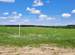 Продажа земельного участка - Ленинградская область, Волосовский район, Горки д., д.5 