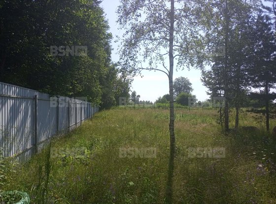 Продажа участка - деревня Светлое, Ленинградская ул