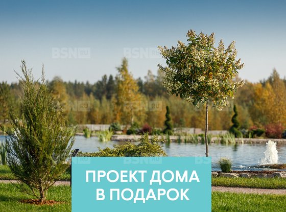 Продажа участка - поселок Ленинское, Репинское кп