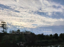 Продажа дачи - Ленинградская область, Гатчинский район, Скворицы д.