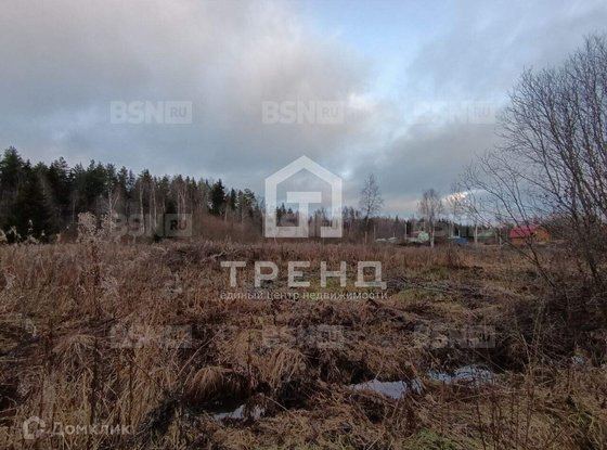 Продажа участка - Ленинградская область, Бригантина-2(Кобрино) территория снт