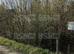 Продажа земельного участка - Ленинградская область, Гатчинский район, Массив Корписалово тер., СТ Пролетарский труд ул. 