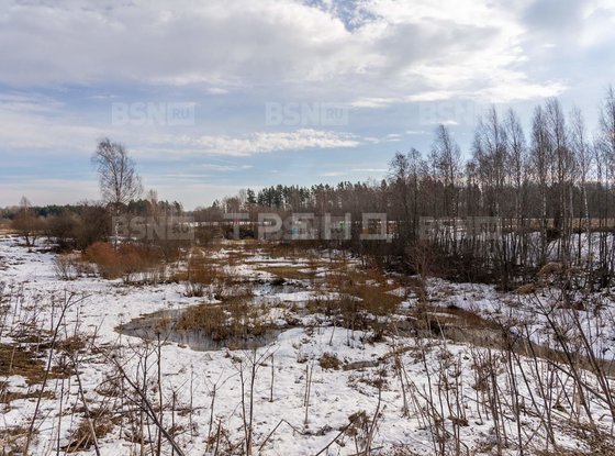 Продажа участка - Ленинградская область, Бабино зона (массив)