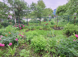 Продажа дачи - Ленинградская область, Гатчинский район, Ягодка тер. СНТ