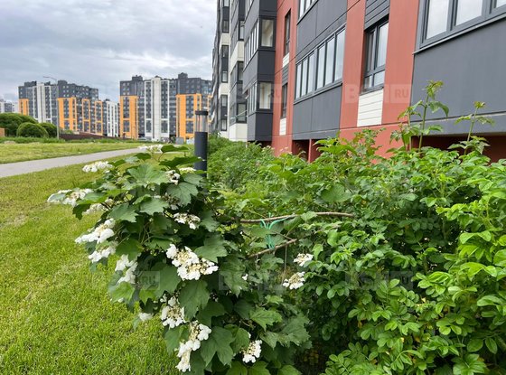 Продажа однокомнатной квартиры - городской поселок Новоселье, Центральная улица, д.18 