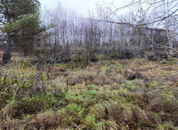 Продажа земельного участка - Ленинградская область, Гатчинский район, Вайя д., Железнодорожная ул. 