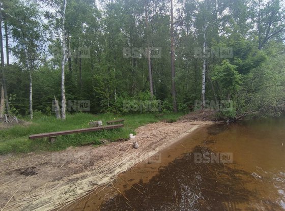 Продажа дома - поселок Ларионово, Заречная улица, д.34, А