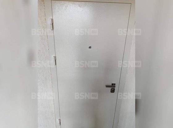 Продажа однокомнатной квартиры - Петергоф, Парковая улица, д.18, корп.5 стр 1 