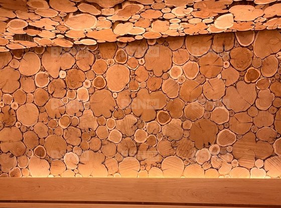 Аренда коттеджа - дачный поселок Массив Мичуринское, ДНТ Журавлевское территория