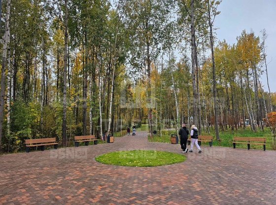 Продажа однокомнатной квартиры - Авиаконструкторов проспект, д.63 