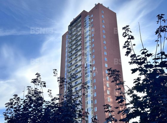Продажа однокомнатной квартиры - Мурино, Авиаторов Балтики проспект, д.19 