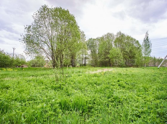 Продажа участка - поселок Петро-Славянка, Лесной проспект
