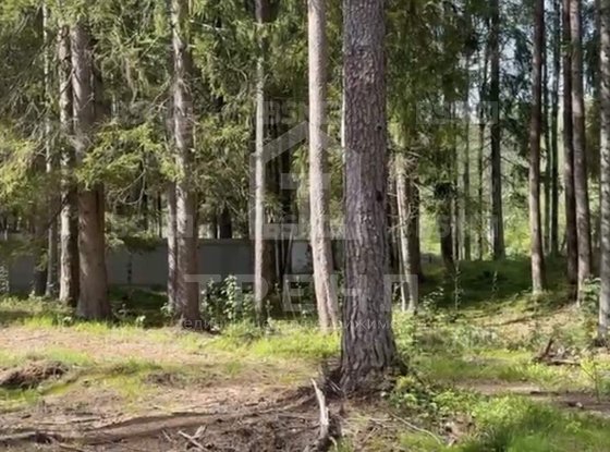 Продажа участка - поселок Солнечное, Солнечное п