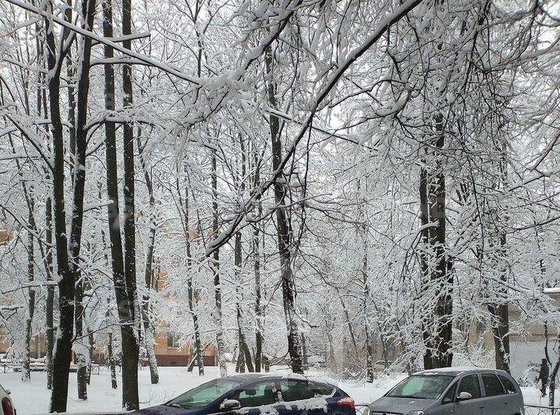 Продажа двухкомнатной квартиры - Ленсовета улица, д.15 