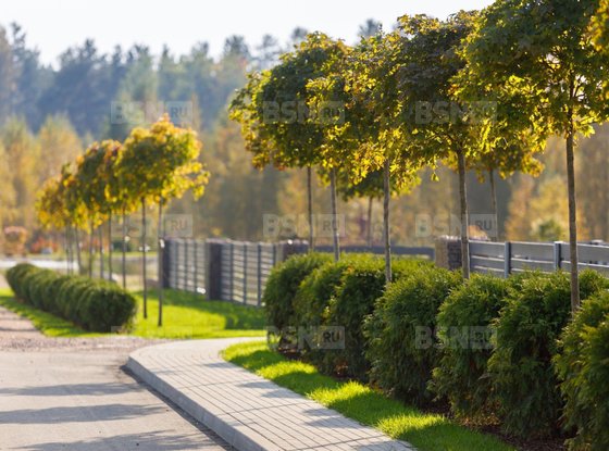 Продажа участка - коттеджный поселок Оазис Парк Репинское, Оазис Парк Репинское кп