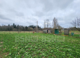 Продажа земельного участка - Ленинградская область, Волосовский район, садовое некоммерческое товарищество Мелиоратор тер. 