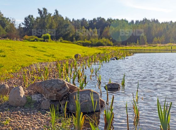 Продажа участка - поселок Ленинское, Репинское кп