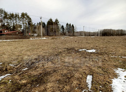 Продажа земельного участка - Ленинградская область, Гатчинский район, Луйсковицы д., Медовая ул., д.2 