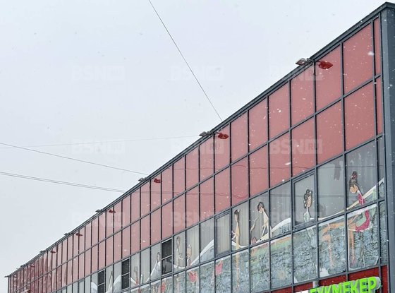 Аренда универсального помещения - Косыгина проспект, д.24, корп.2 