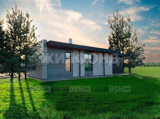 Продажа дома - деревня Мистолово, Главная улица