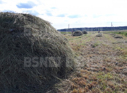 Продажа земельного участка - Ленинградская область, Гатчинский район, Большое Рейзино д. 
