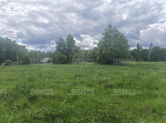 Продажа участка - деревня Хвойное, Хвойное д