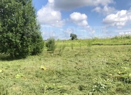 Продажа участка - Россия, Ленинградская область, Гатчинский район, Новая (Елизаветинское с/п) д.