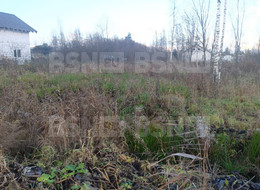 Продажа земельного участка - Ленинградская область, Гатчинский район, Новый Свет п., Массив 52 Северная ул., д.29 