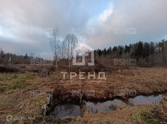 Продажа участка - Ленинградская область, Бригантина-2(Кобрино) территория снт