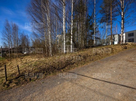 Продажа участка - деревня Скотное, Светлая улица