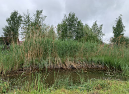 Продажа дачи - Ленинградская область, Тосненский район, СНТ Лесное-2 массива Никольское снт, 8-я ул.