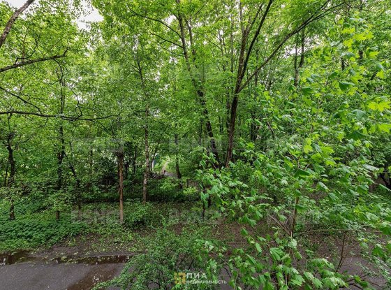 Продажа двухкомнатной квартиры - Красное Село, Гатчинское шоссе, д.13, корп.3 