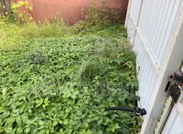 Продажа земельного участка - Ленинградская область, Гатчинский район, Сиверский г.п., Первомайская ул., д.2 